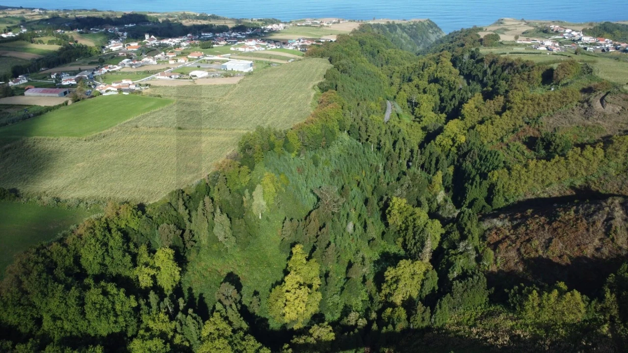 Terreno para Venda em Lomba da Maia Foto 4