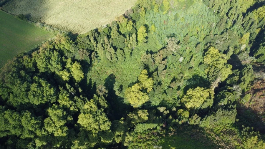 Terreno para Venda em Lomba da Maia Foto 7