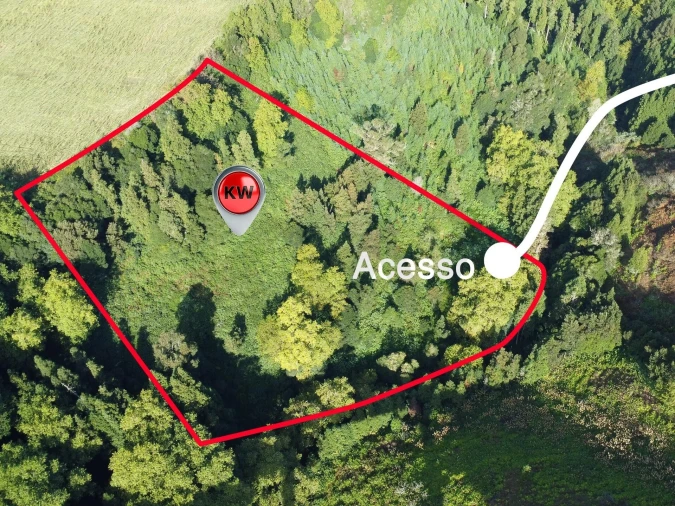 Terreno para Venda em Lomba da Maia Foto 3