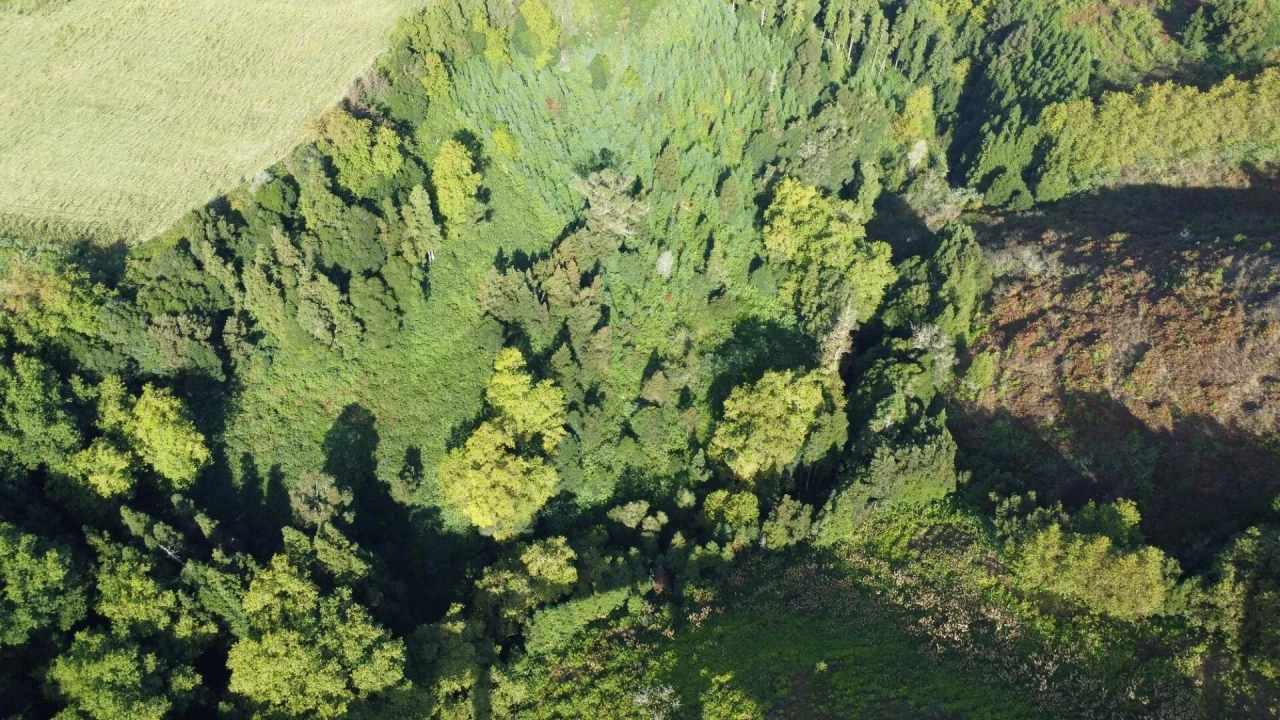 Terreno para Venda em Lomba da Maia Foto 6