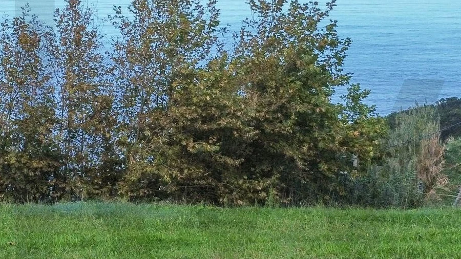 Terreno para Venda em Lomba da Maia