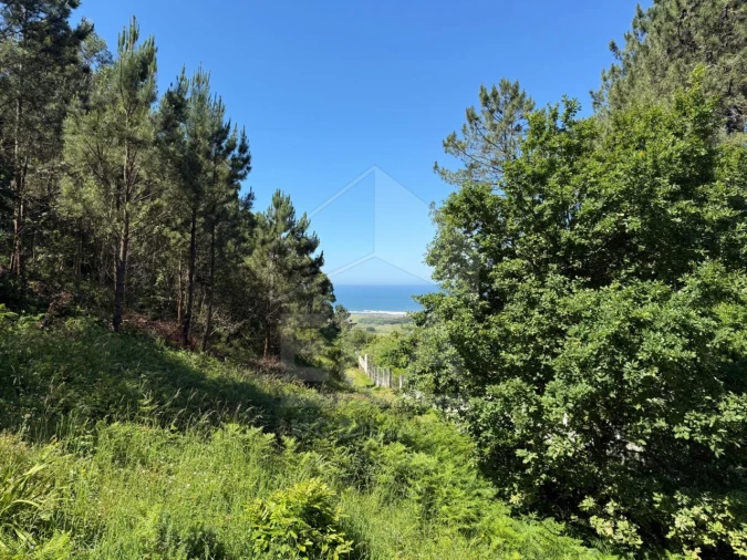 Moradia T3 para Venda em Areosa Foto 25