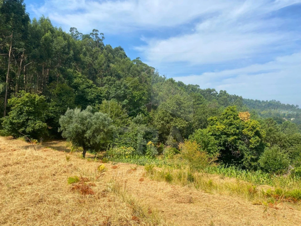 Terreno para Venda em Geraz do Lima (Santa Maria, Santa Leocádia, Moreira), Deão Foto 5