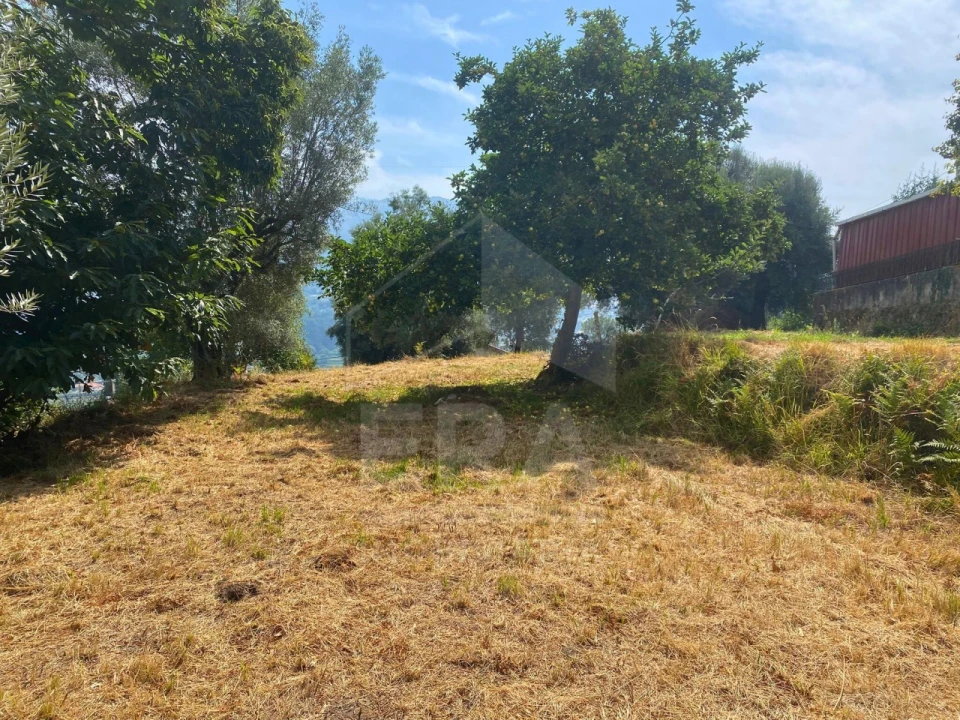Terreno para Venda em Geraz do Lima (Santa Maria, Santa Leocádia, Moreira), Deão Foto 6