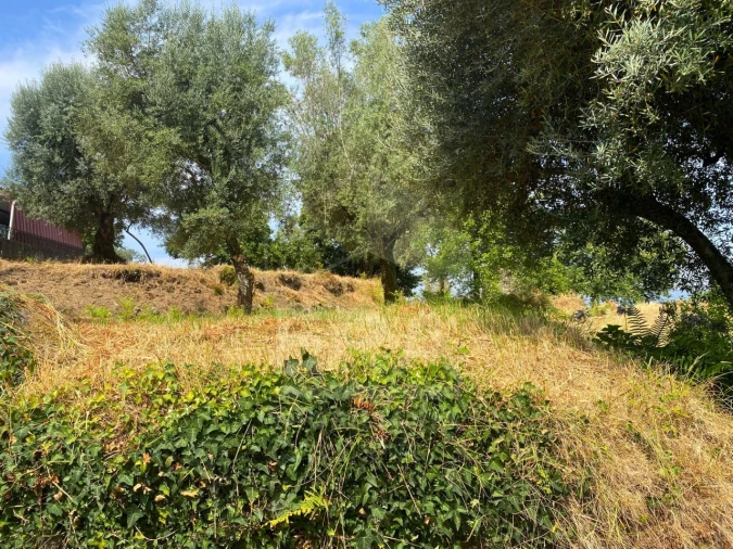 Terreno para Venda em Geraz do Lima (Santa Maria, Santa Leocádia, Moreira), Deão Foto 3