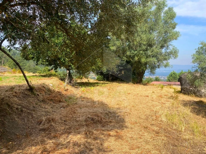 Terreno para Venda em Geraz do Lima (Santa Maria, Santa Leocádia, Moreira), Deão Foto 9