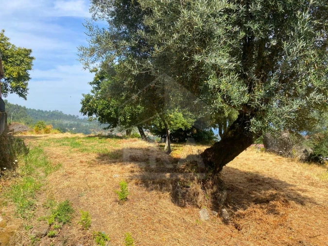 Terreno para Venda em Geraz do Lima (Santa Maria, Santa Leocádia, Moreira), Deão Foto 10