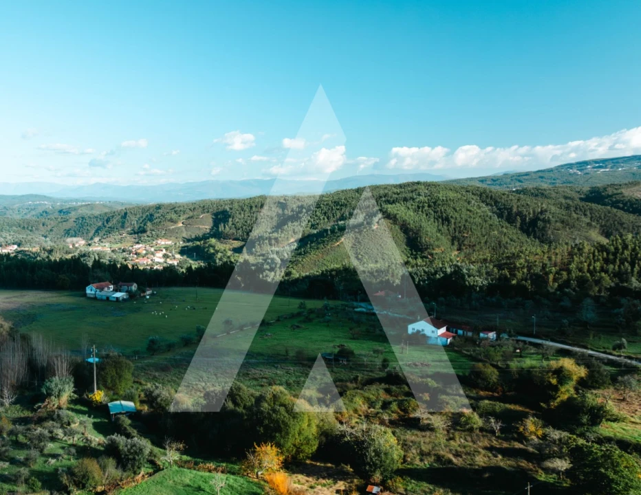 Moradia T3 para Venda em Lavegadas Foto 20