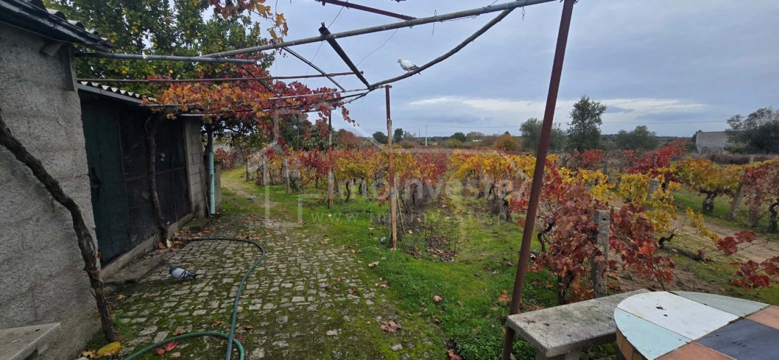 Terreno Agricola ou Rústico para Venda em Alcains Foto 3