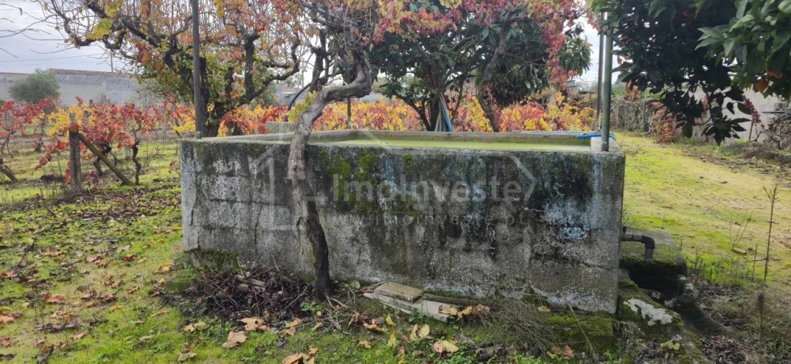 Terreno Agricola ou Rústico para Venda em Alcains Foto 7