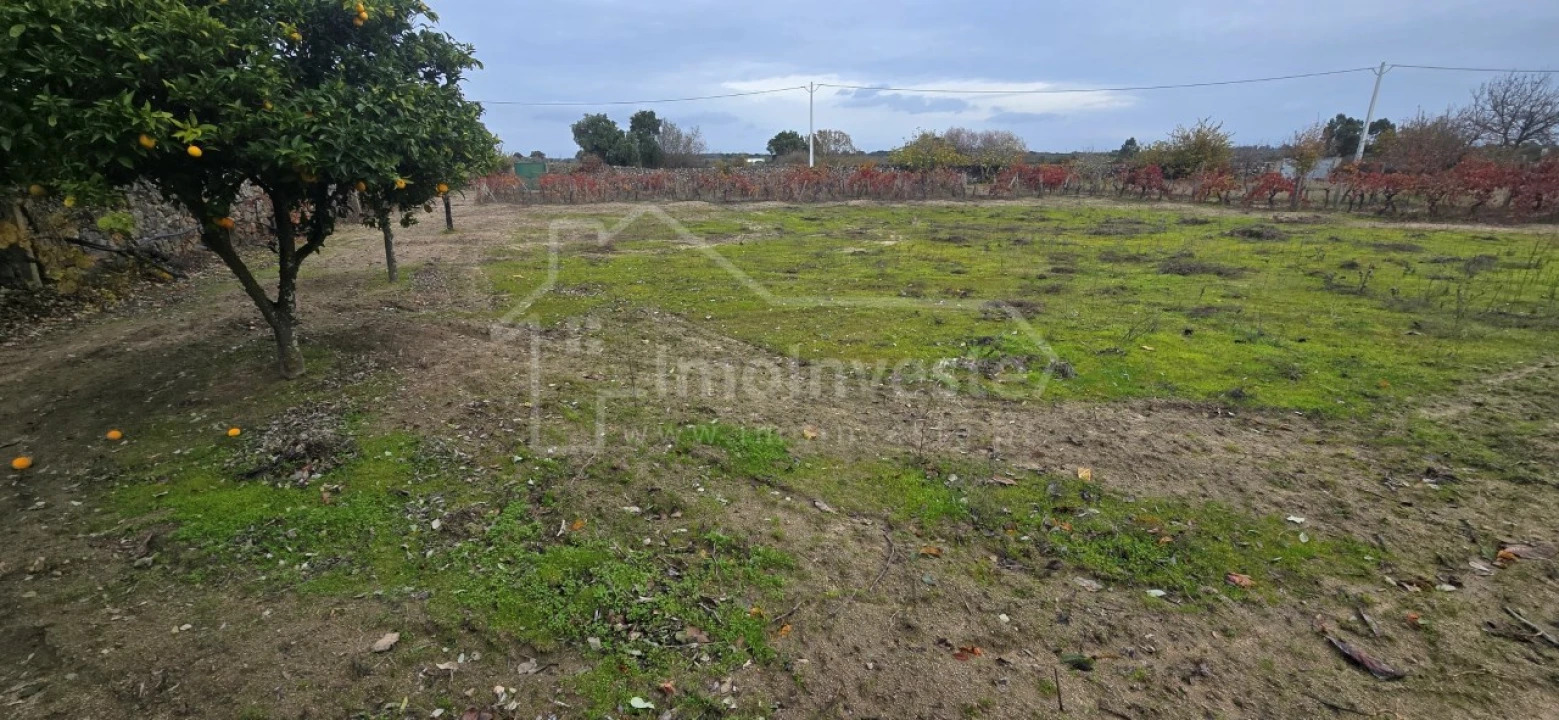Terreno Agricola ou Rústico para Venda em Alcains Foto 9