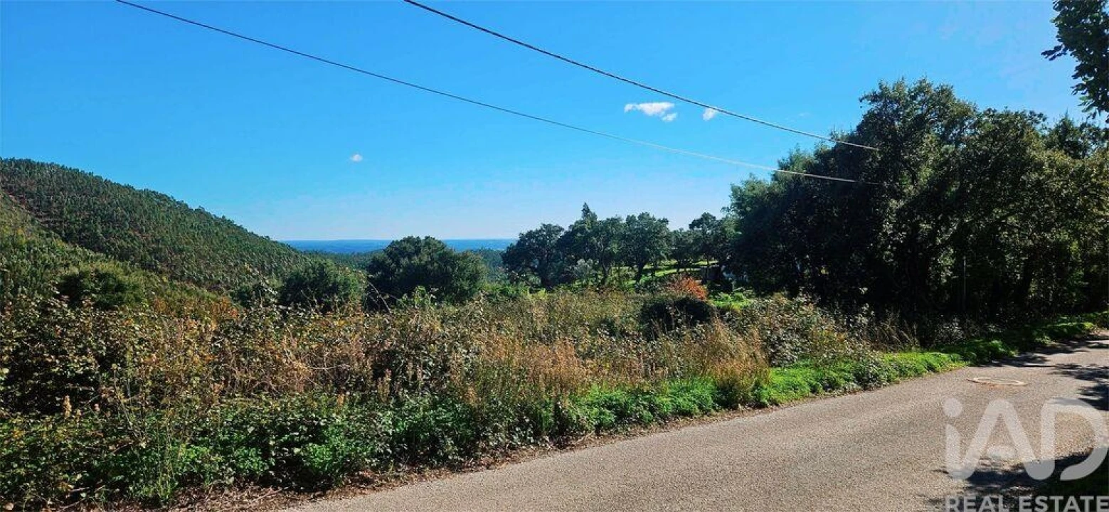 Terreno para Venda em Monchique Foto 7