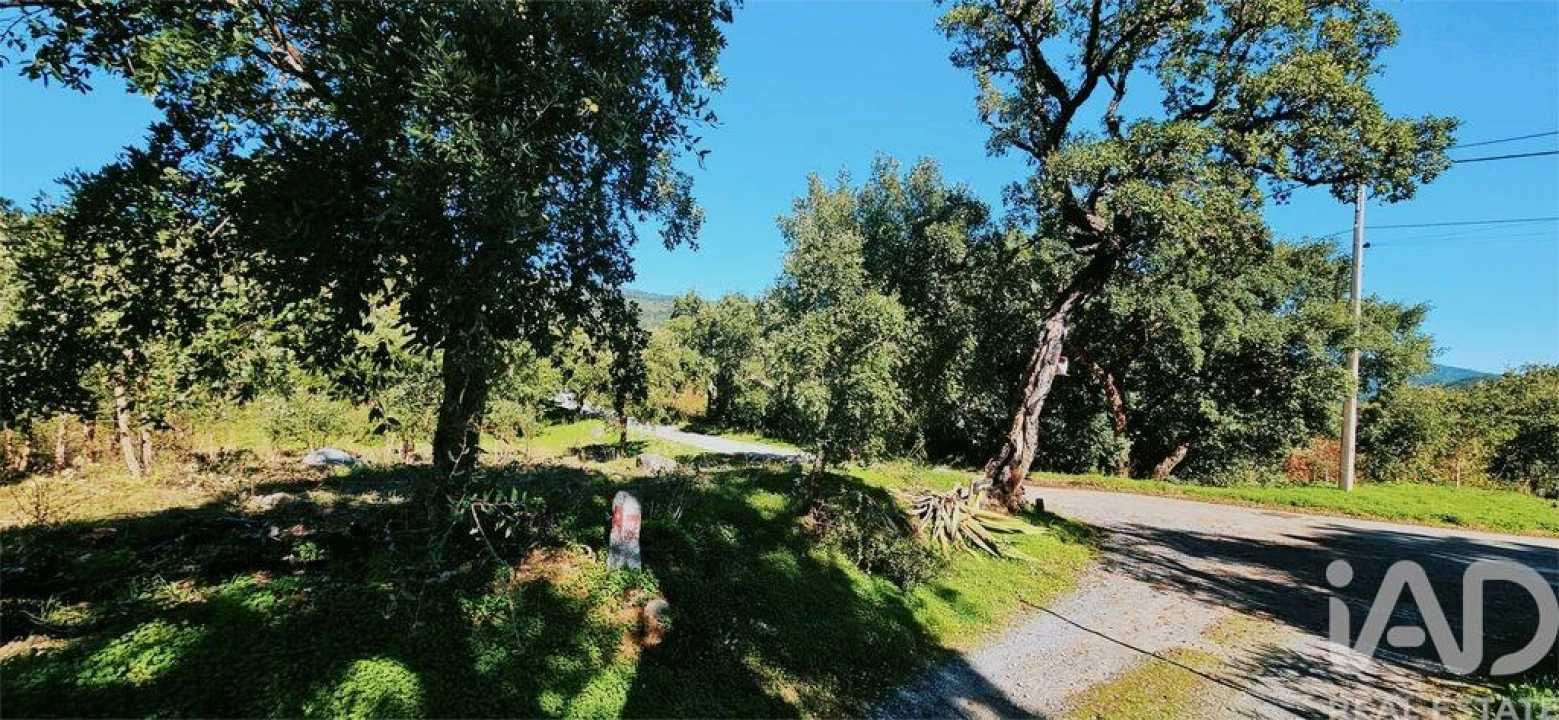 Terreno para Venda em Monchique Foto 3