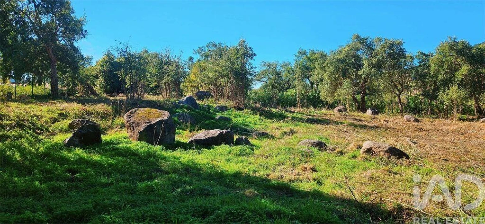 Terreno para Venda em Monchique Foto 19