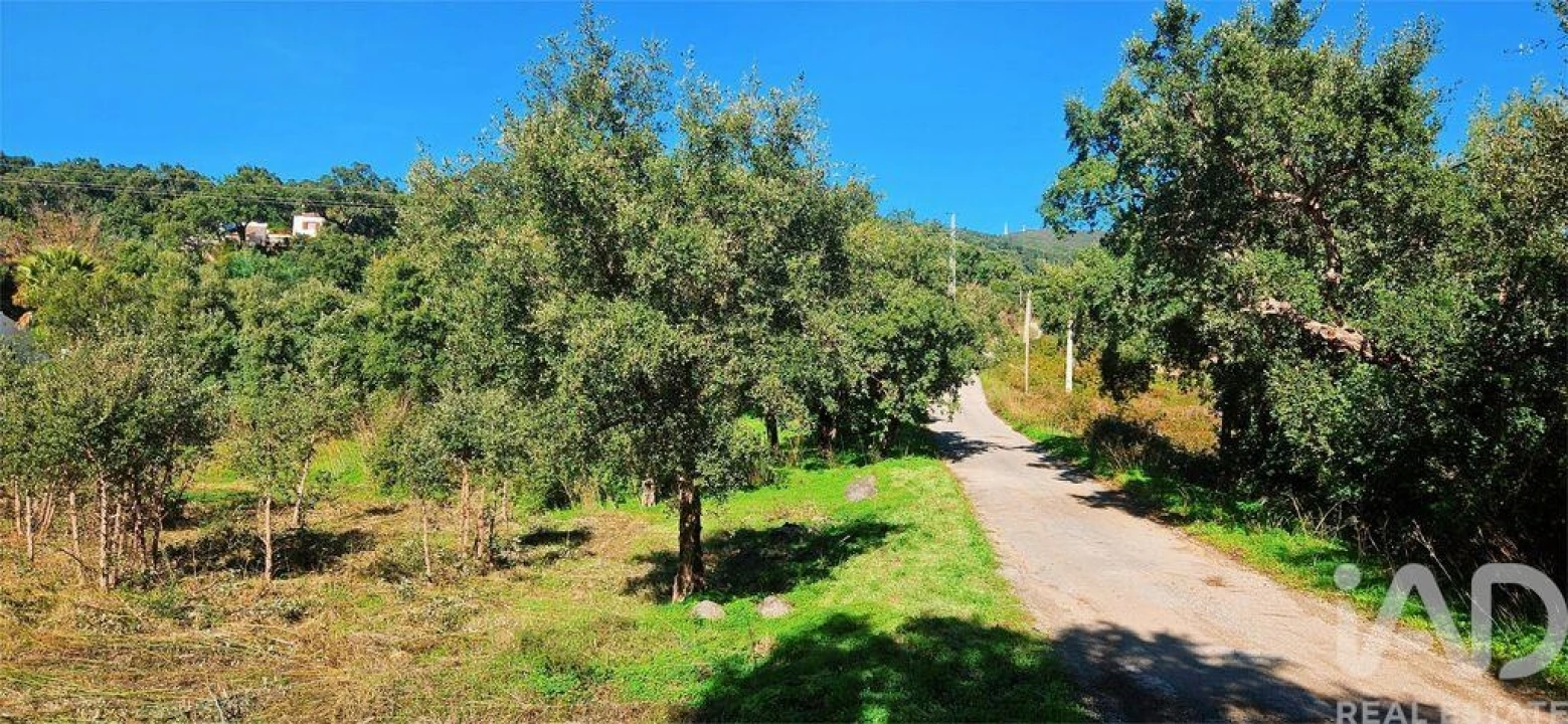 Terreno para Venda em Monchique Foto 21