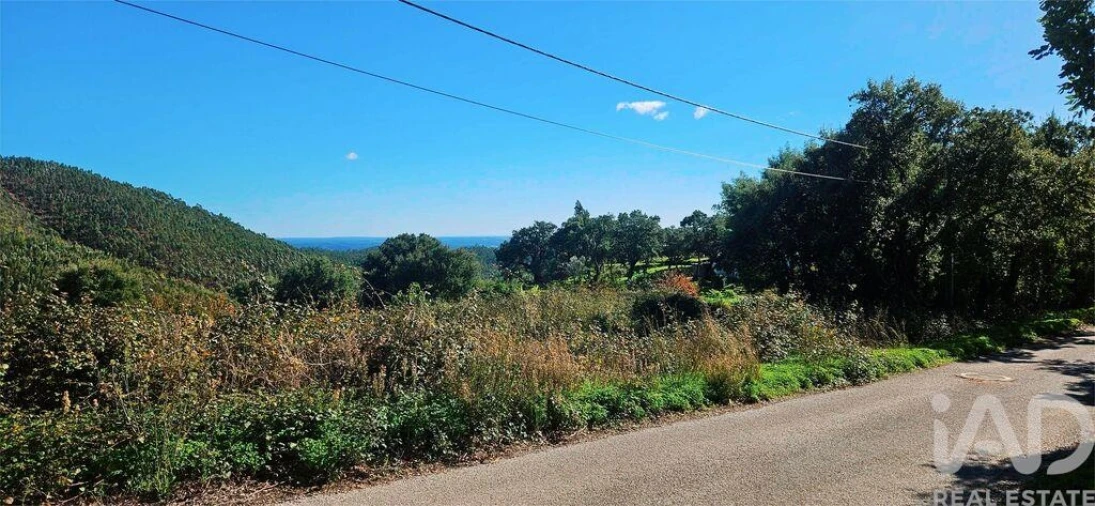 Terreno para Venda em Monchique Foto 7