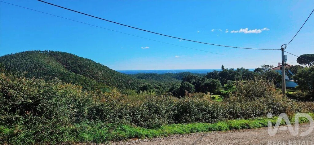 Terreno para Venda em Monchique Foto 8