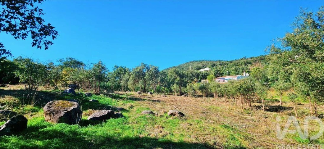 Terreno para Venda em Monchique Foto 23