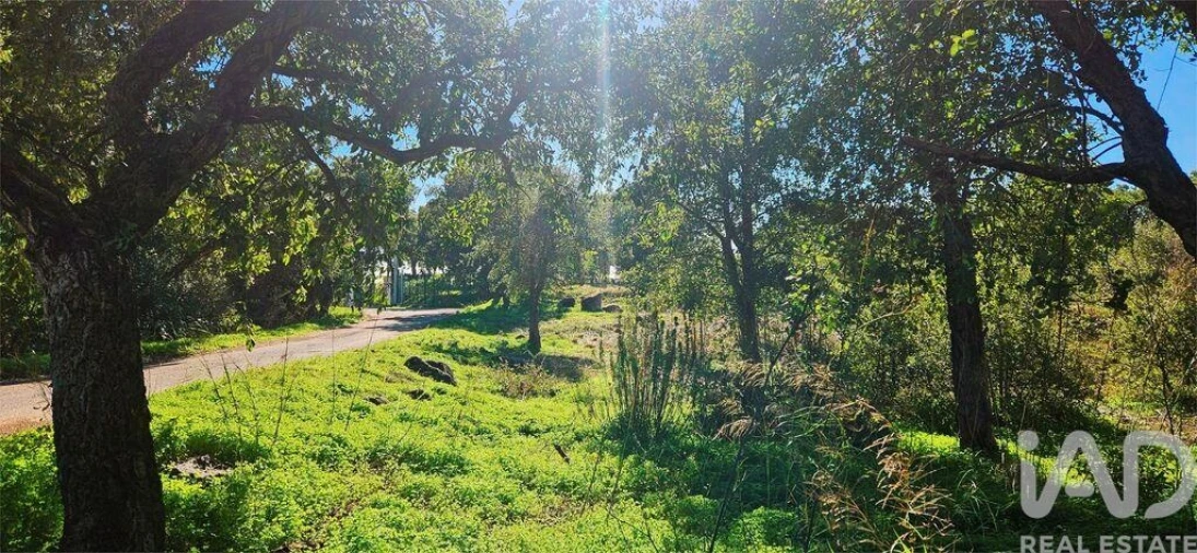Terreno para Venda em Monchique Foto 11