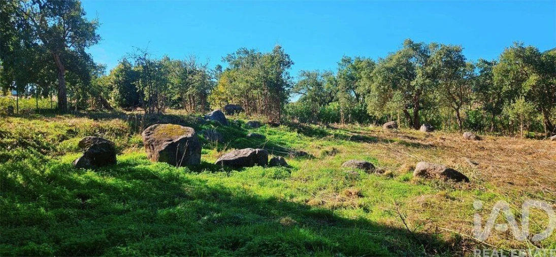 Terreno para Venda em Monchique Foto 19