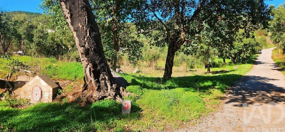 Terreno para Venda em Monchique