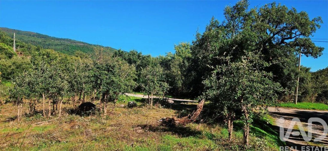 Terreno para Venda em Monchique Foto 16