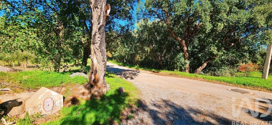 Terreno para Venda em Monchique Foto 24