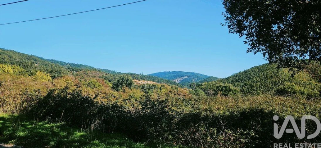 Terreno para Venda em Monchique Foto 9