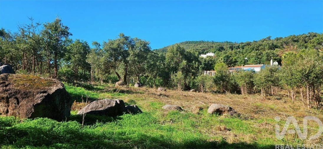 Terreno para Venda em Monchique Foto 20