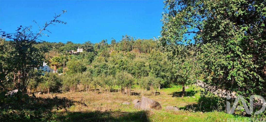 Terreno para Venda em Monchique Foto 22