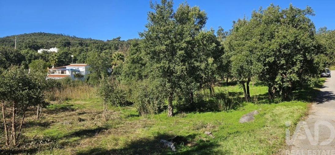 Terreno para Venda em Monchique Foto 18