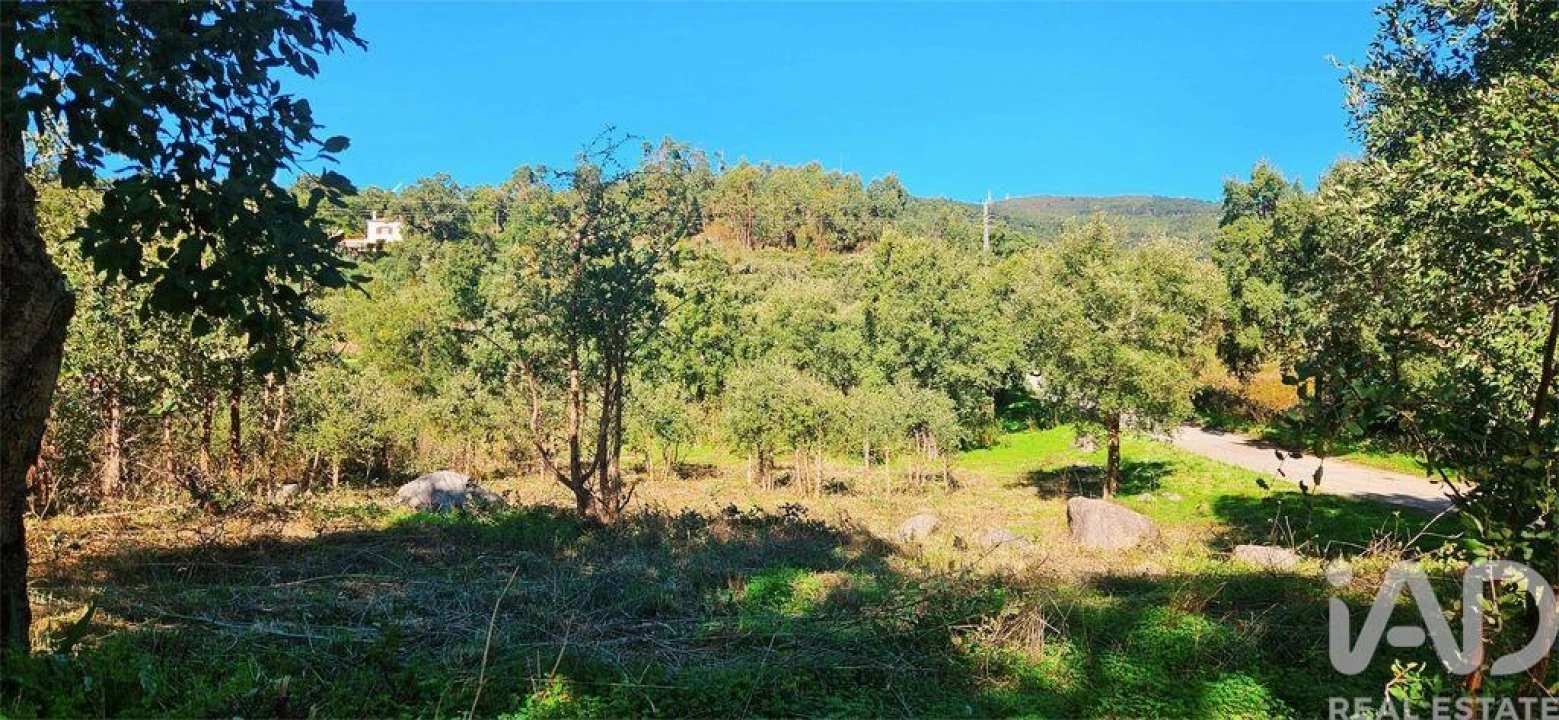 Terreno para Venda em Monchique Foto 17