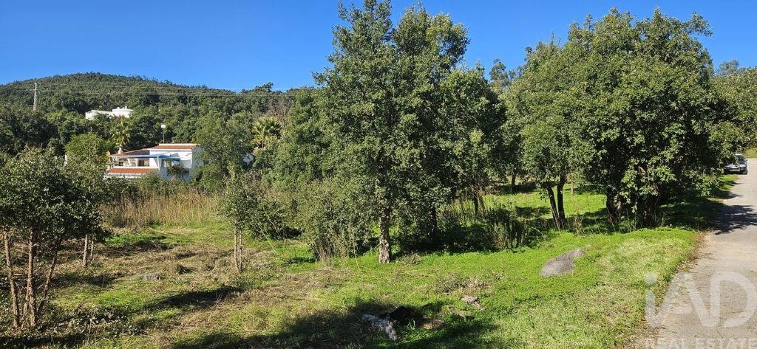 Terreno para Venda em Monchique Foto 18