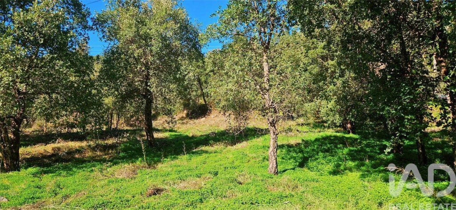 Terreno para Venda em Monchique Foto 12