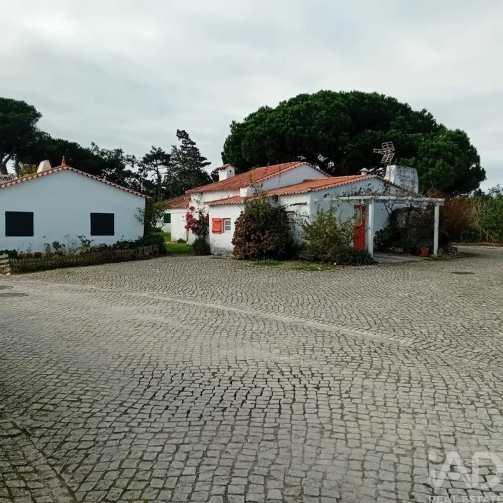 Terreno para Venda em Vau Foto 17