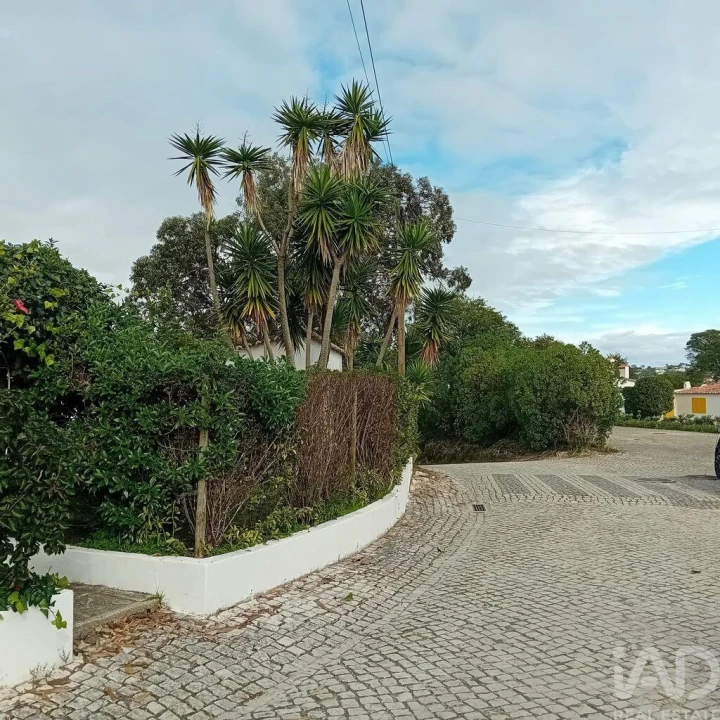 Terreno para Venda em Vau Foto 23
