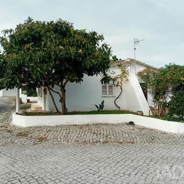 Terreno para Venda em Vau Foto 16