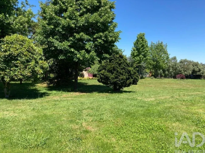 Quinta T5 para Venda em Barcelos, V.Boa, V.Frescainha Foto 33