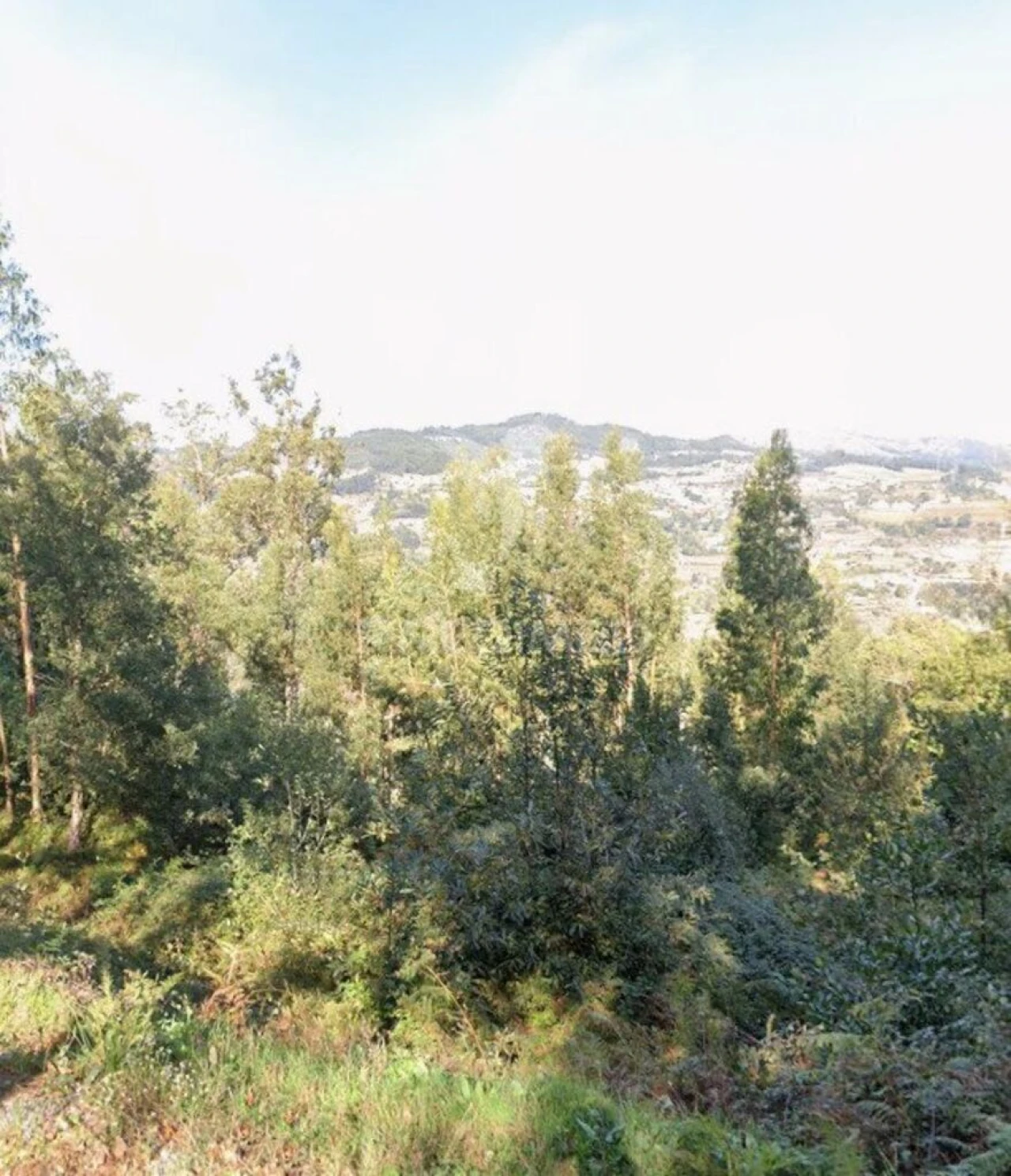 Terreno para Venda em Oliveira do Douro Foto 3