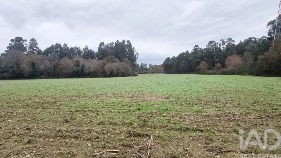 Terreno para Venda em Cornes Foto 1