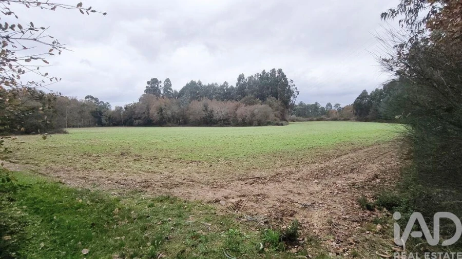 Terreno para Venda em Cornes Foto 4