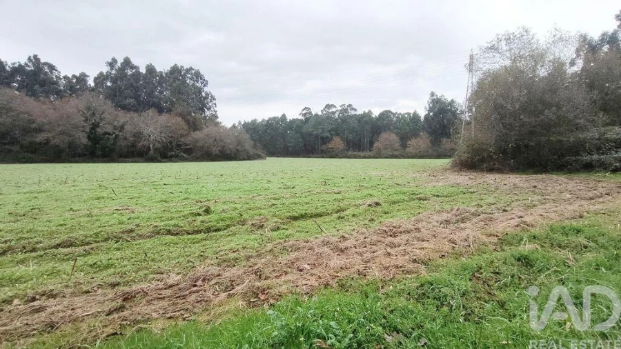 Terreno para Venda em Cornes Foto 3