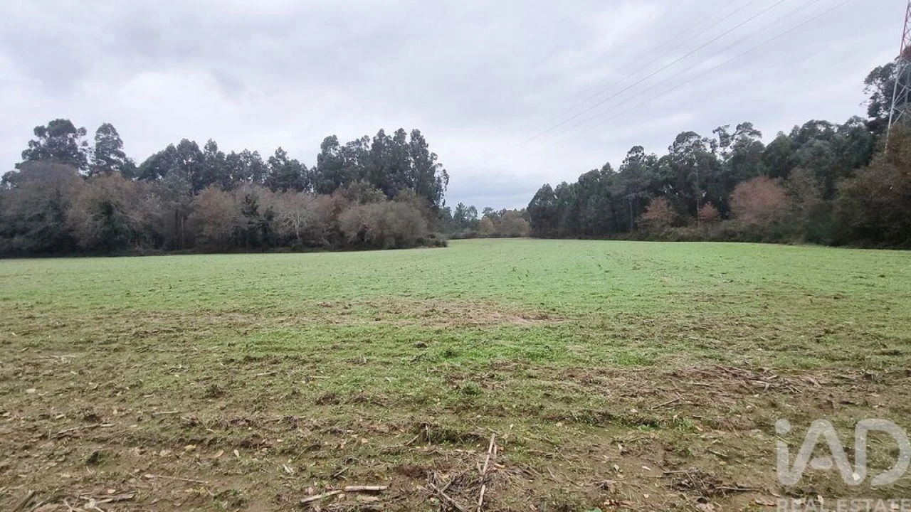 Terreno para Venda em Cornes Foto 1