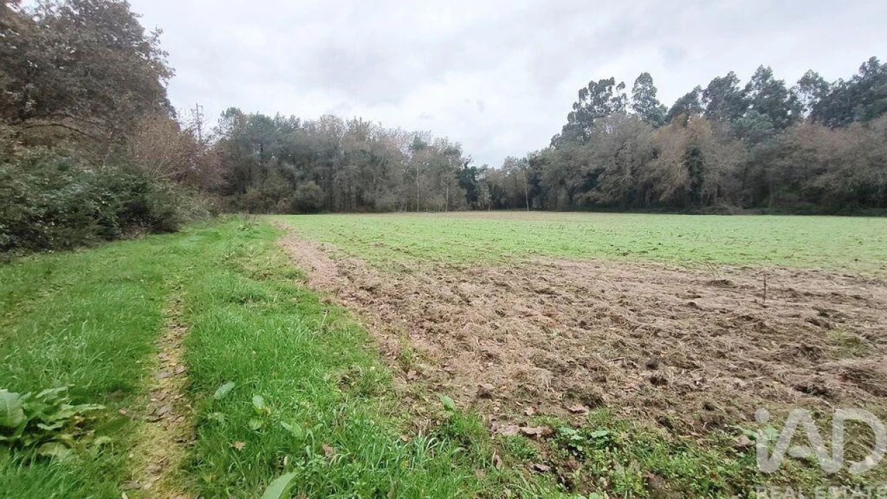 Terreno para Venda em Cornes Foto 2