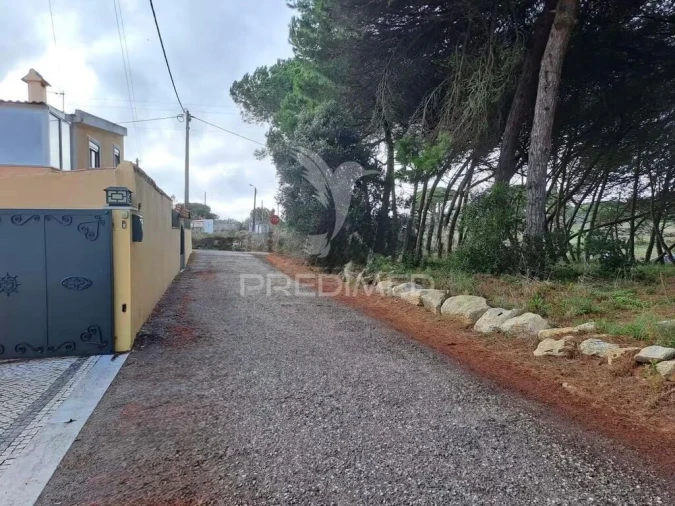 Moradia T3 para Venda em Santa Maria e São Miguel, São Martinho, São Pedro Penaferrim Foto 5