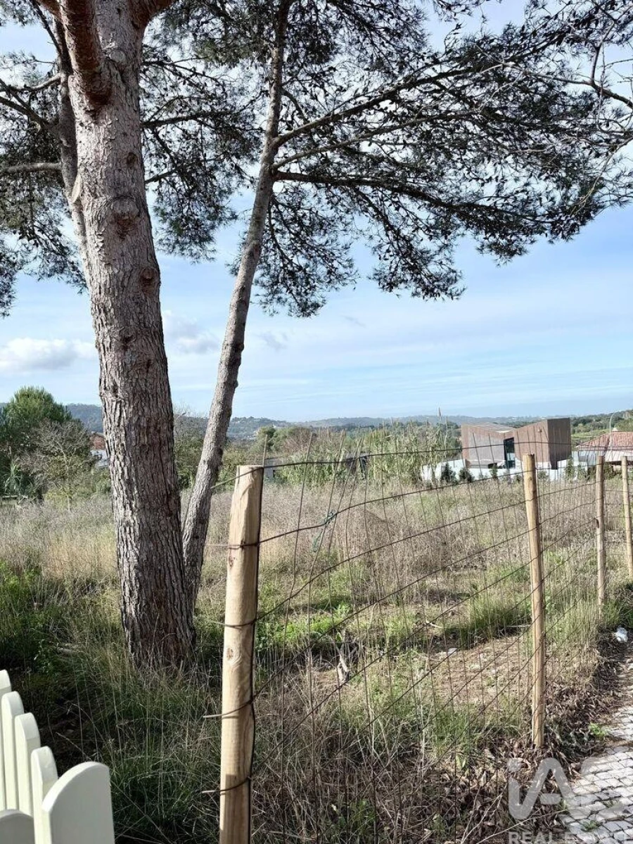 Terreno para Venda em São João das Lampas e Terrugem Foto 4