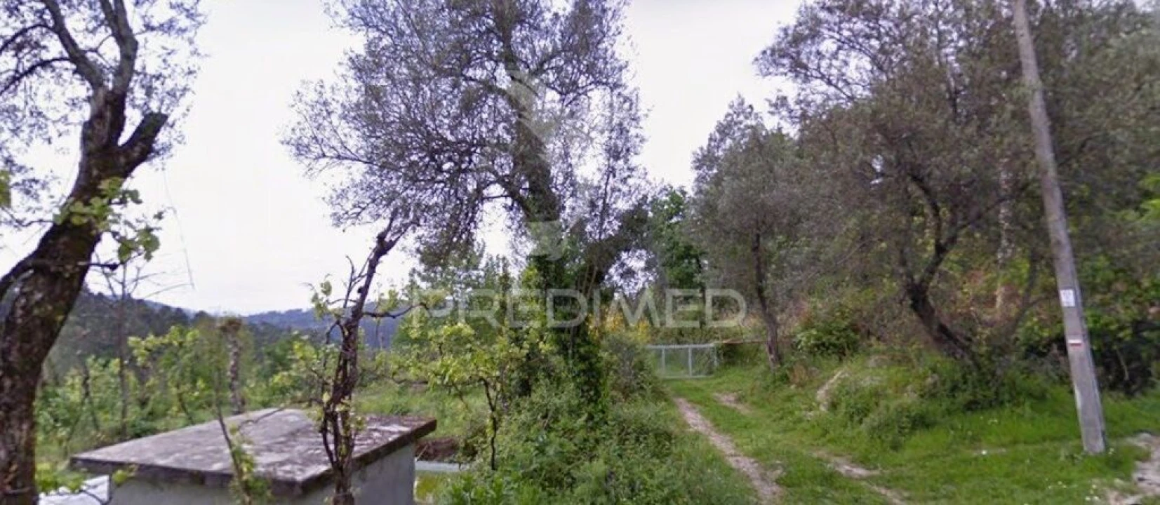 Terreno para Venda em Calvos e Frades Foto 2