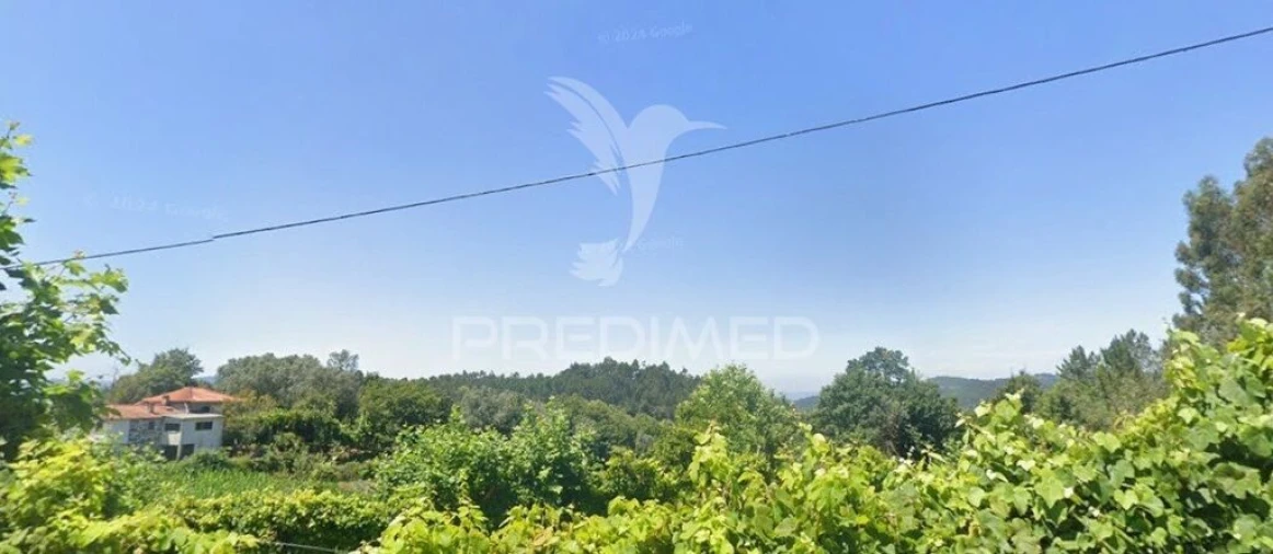 Terreno para Venda em Calvos e Frades Foto 5