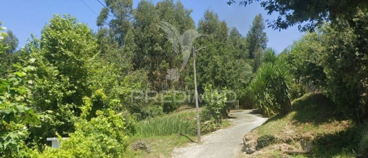 Terreno para Venda em Calvos e Frades Foto 3