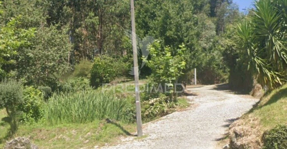 Terreno para Venda em Calvos e Frades Foto 4